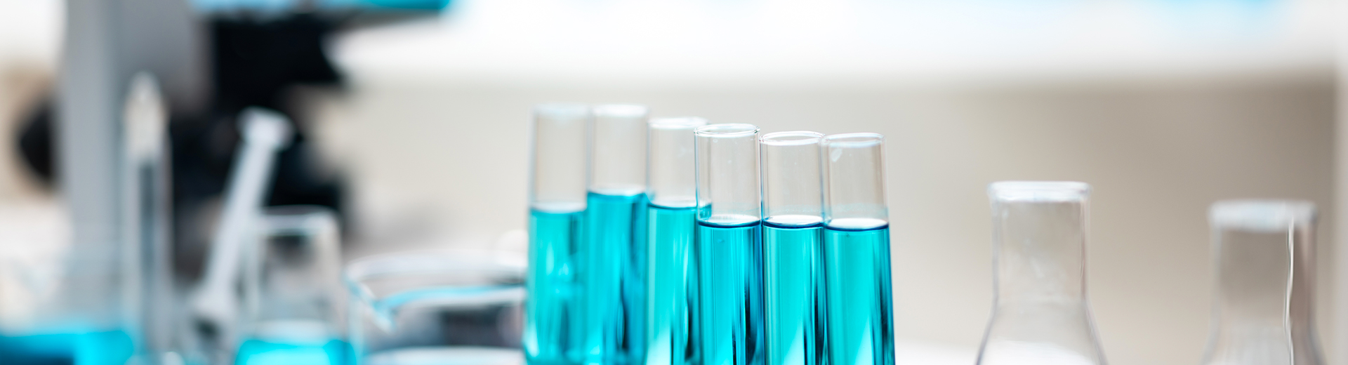 餐飲行業(yè)方案